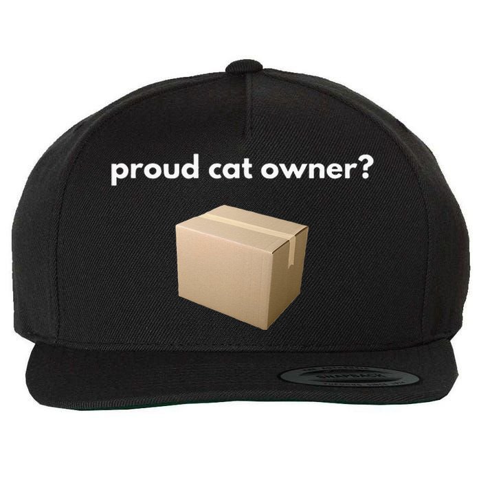 Proud Cat Owner Schrodingers Cat Funny Wool Snapback Cap