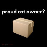 Proud Cat Owner Schrodingers Cat Funny Wool Snapback Cap