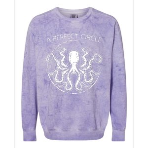 Perfect Circle Octopus Pi Day Colorblast Crewneck Sweatshirt