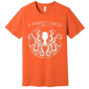 Perfect Circle Octopus Pi Day Premium T-Shirt