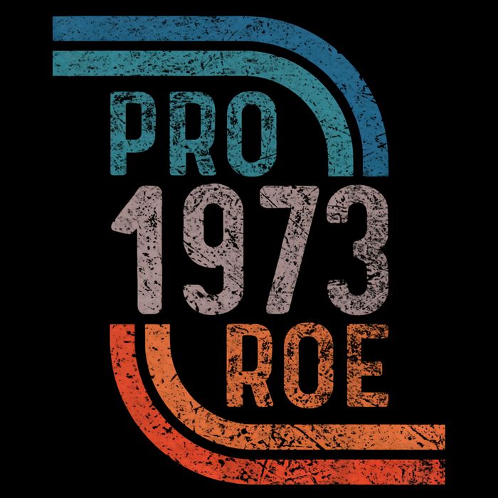 Pro Choice Pro Roe 1973 Roe V Wade Wool Snapback Cap