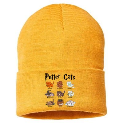 Potter Cats Sustainable Knit Beanie