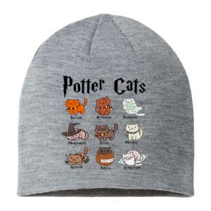 Potter Cats Sustainable Beanie