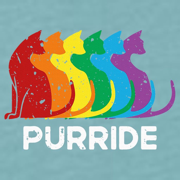 Purride Cat Pride Ally Lgbt Community Rainbow Pride Sueded Cloud Jersey T-Shirt