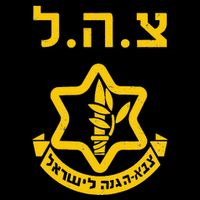 Purim Costume Party Idf Tzahal Israel Defense Forces Jewish Sustainable Bucket Hat