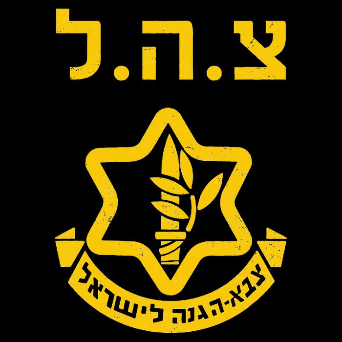 Purim Costume Party Idf Tzahal Israel Defense Forces Jewish Sustainable Bucket Hat