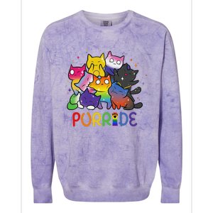 Purride Cat Pride Ally Lgbt Rainbow Animal Lovers Women Colorblast Crewneck Sweatshirt