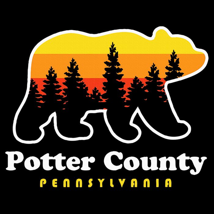 Potter County Pennsylvania Susquehannock State Forest Bear Cooling Performance Crew T-Shirt