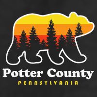 Potter County Pennsylvania Susquehannock State Forest Bear 11oz C Handle Ceramic Mug