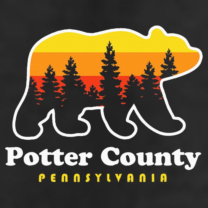 Potter County Pennsylvania Susquehannock State Forest Bear 11oz C Handle Ceramic Mug