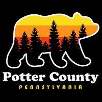 Potter County Pennsylvania Susquehannock State Forest Bear Wool Snapback Cap