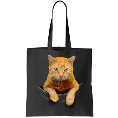 Pocket Cat Bag