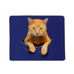 Pocket Cat Mousepad