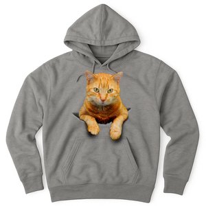 Pocket Cat Hoodie