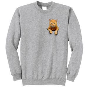 Pocket Cat Sweatshirt