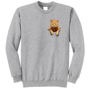 Pocket Cat Tall Sweatshirt