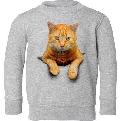 Pocket Cat Toddler Sweatshirt