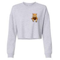 Pocket Cat Cropped Pullover Crew