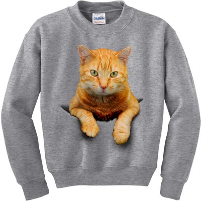 Pocket Cat Kids Sweatshirt