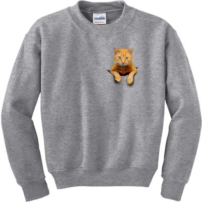 Pocket Cat Kids Sweatshirt