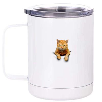 Pocket Cat 12 oz Stainless Steel Tumbler Cup