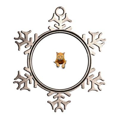 Pocket Cat Metallic Star Ornament