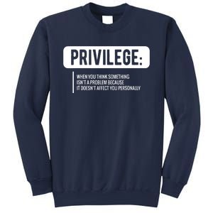 Privilege, Civil Rights, Equality VNeck Sweatshirt