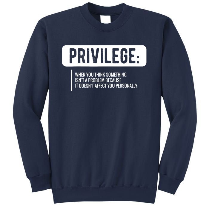 Privilege, Civil Rights, Equality VNeck Sweatshirt