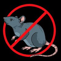Pest Control Rat Exterminator No Rat Sign Button