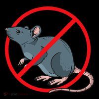 Pest Control Rat Exterminator No Rat Sign Wool Snapback Cap