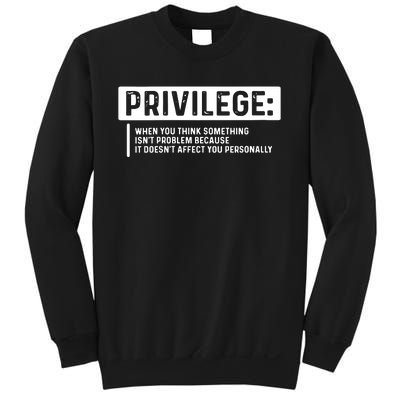 Privilege, Civil Rights, Equality VNeck Sweatshirt