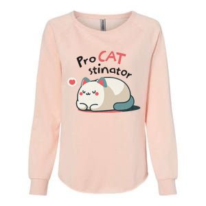 Pro Cat Stinator Adorable Lazy Cat Design Womens California Wash Sweatshirt