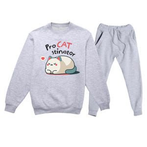 Pro Cat Stinator Adorable Lazy Cat Design Premium Crewneck Sweatsuit Set