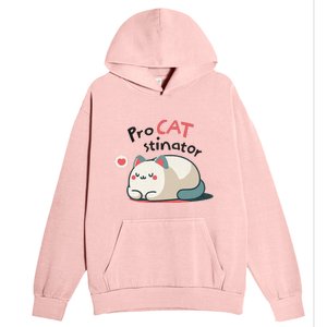 Pro Cat Stinator Adorable Lazy Cat Design Urban Pullover Hoodie