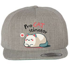 Pro Cat Stinator Adorable Lazy Cat Design Wool Snapback Cap