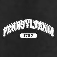 Pennsylvania Collegiate Style 1787 Adult Drive Performance Visor
