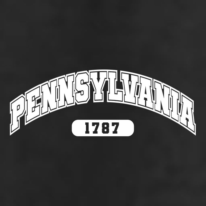 Pennsylvania Collegiate Style 1787 Adult Drive Performance Visor