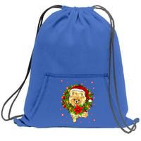 Pomeranian Christmas Santa Hat Xmas Lights Dog Lover Funny Gift Sweatshirt Cinch Pack Bag