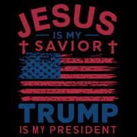 Patriotic Christian Support Graphic V-Neck T-Shirt