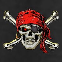 Pirate Costume Skull And Crossbones Jolly Roger Pirate 25L Jumbo Tote
