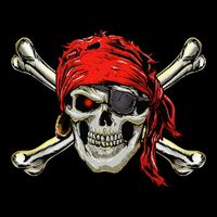 Pirate Costume Skull And Crossbones Jolly Roger Pirate Women's Crop Top Tee