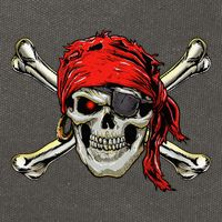 Pirate Costume Skull And Crossbones Jolly Roger Pirate Cotton Canvas Backpack