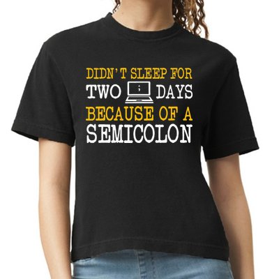 Programmer Computer Software Engineer Web Developer Coder Comfort Colors Boxy T-Shirt