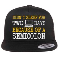 Programmer Computer Software Engineer Web Developer Coder Flatbill Hat
