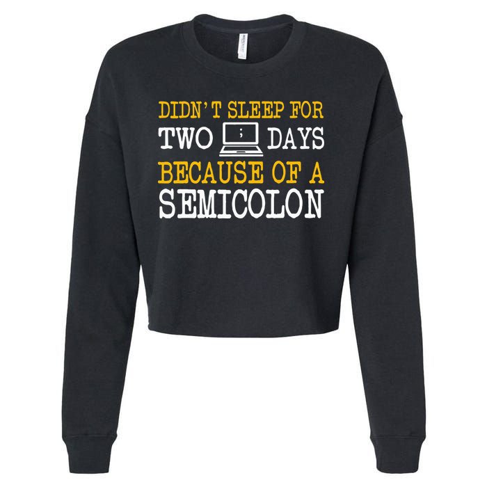 Programmer Computer Software Engineer Web Developer Coder Cropped Pullover Crew
