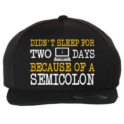 Programmer Computer Software Engineer Web Developer Coder Wool Snapback Cap
