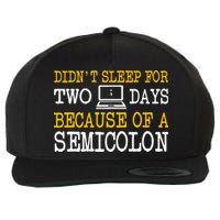 Programmer Computer Software Engineer Web Developer Coder Wool Snapback Cap
