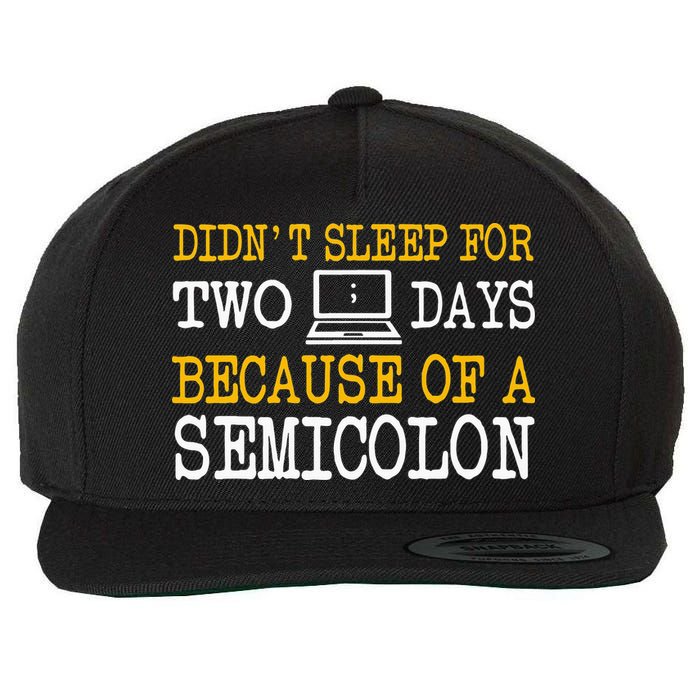 Programmer Computer Software Engineer Web Developer Coder Wool Snapback Cap