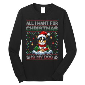 Papillon Christmas Tree Lights Decorations Dog Lover Xmas Long Sleeve Long Sleeve Shirt