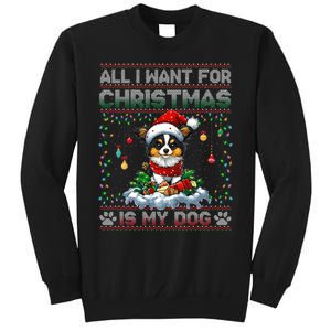 Papillon Christmas Tree Lights Decorations Dog Lover Xmas Long Sleeve Tall Sweatshirt